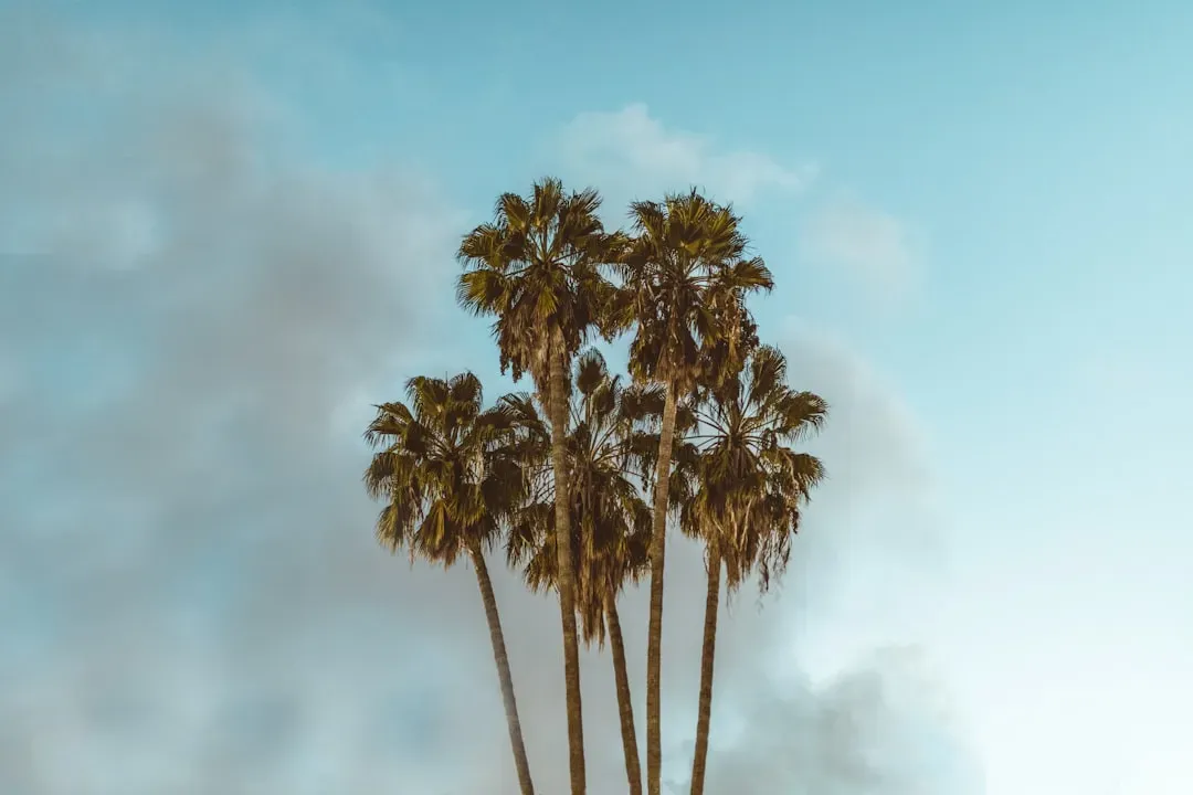 9. La La Land and the Bittersweet What-Could-Have-Been (Image Credits: Unsplash)