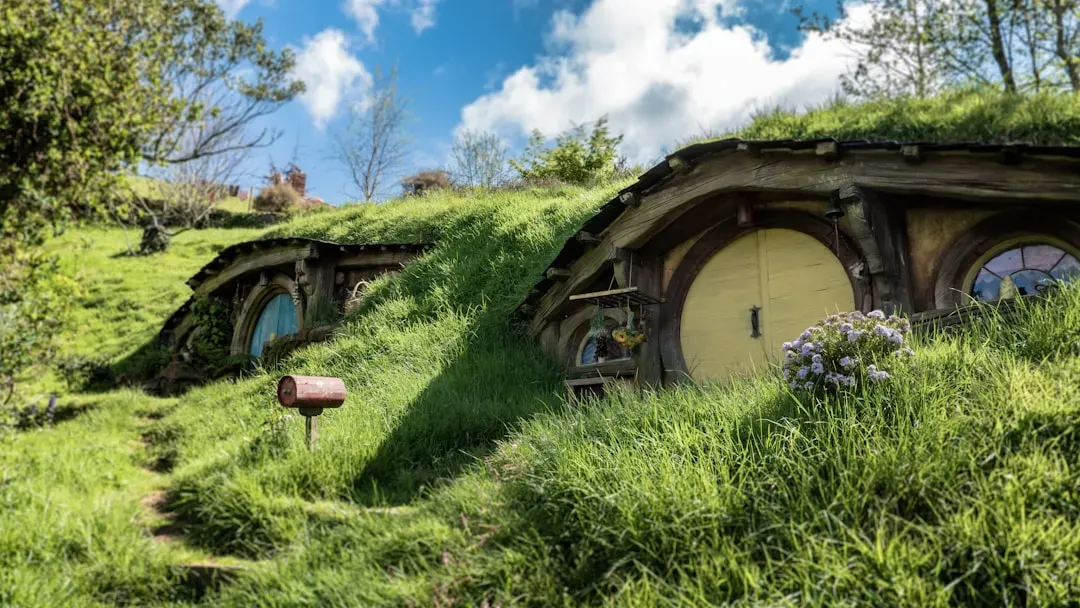 Stuart Townsend in The Lord of the Rings (2001): Four Days as Aragorn (Image Credits: Unsplash)