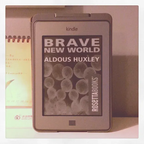 5. Brave New World by Aldous Huxley (1932) (bfishadow, Flickr, CC BY 2.0)