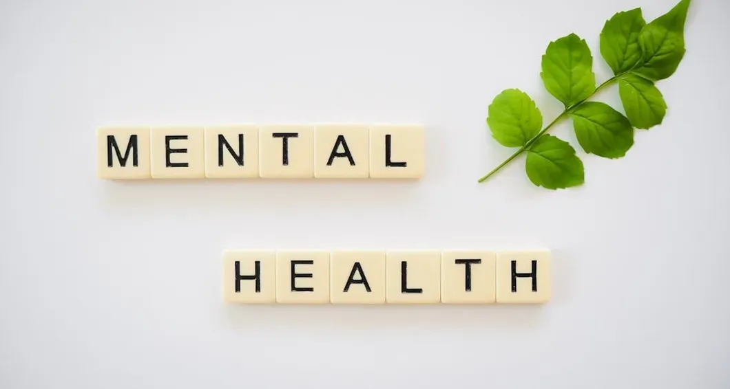 Lisa Jakub: Leaving Mrs. Doubtfire Behind for Mental Wellness Work (Image Credits: Unsplash)