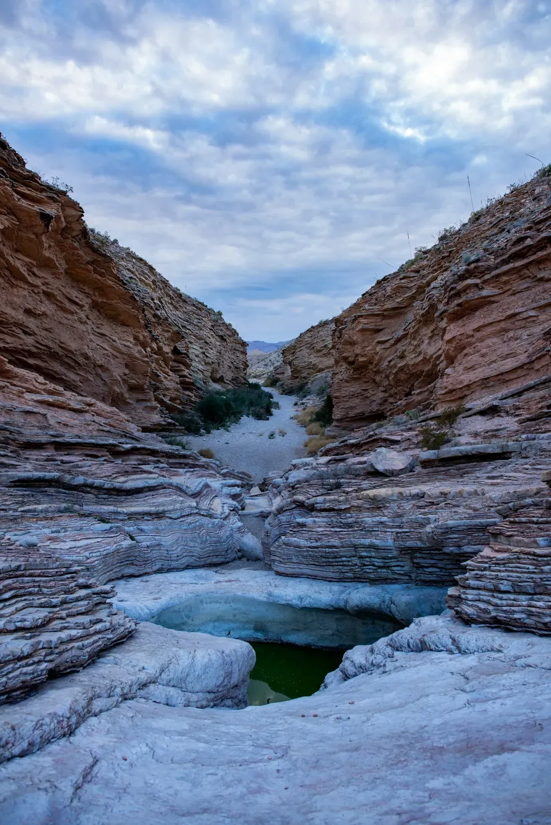 Water in the Desert - The Parks That Solve That Problem (Image Credits: Unsplash)