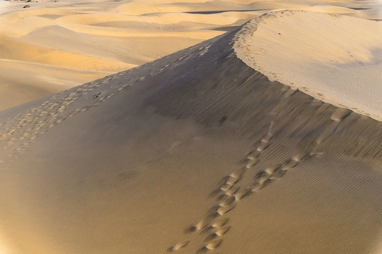Dune: Part Two (2024) (Image Credits: Pixabay)