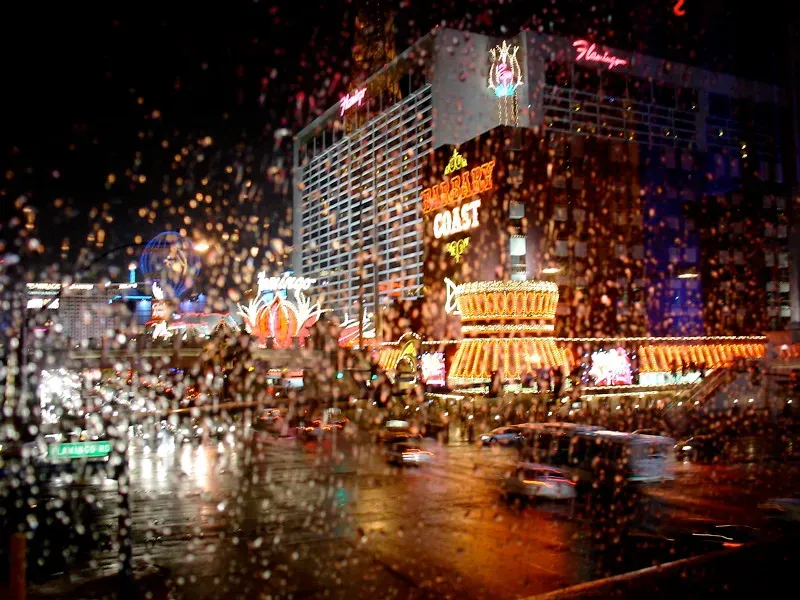 Conclusion: When Desert Rain Meets Perfect Soundtracks (Image Credits: Flickr)