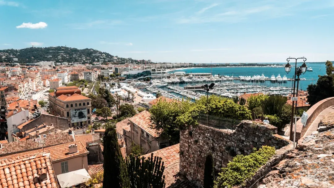 A Triumph at Cannes and a Surprise of a Lifetime (Image Credits: Unsplash)