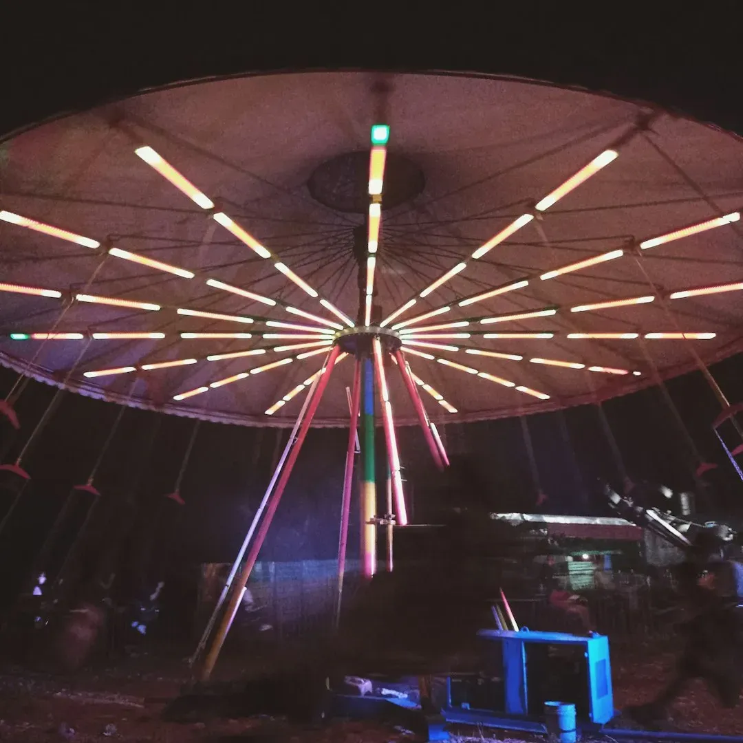 Tomorrowland Belgium (Image Credits: Unsplash)