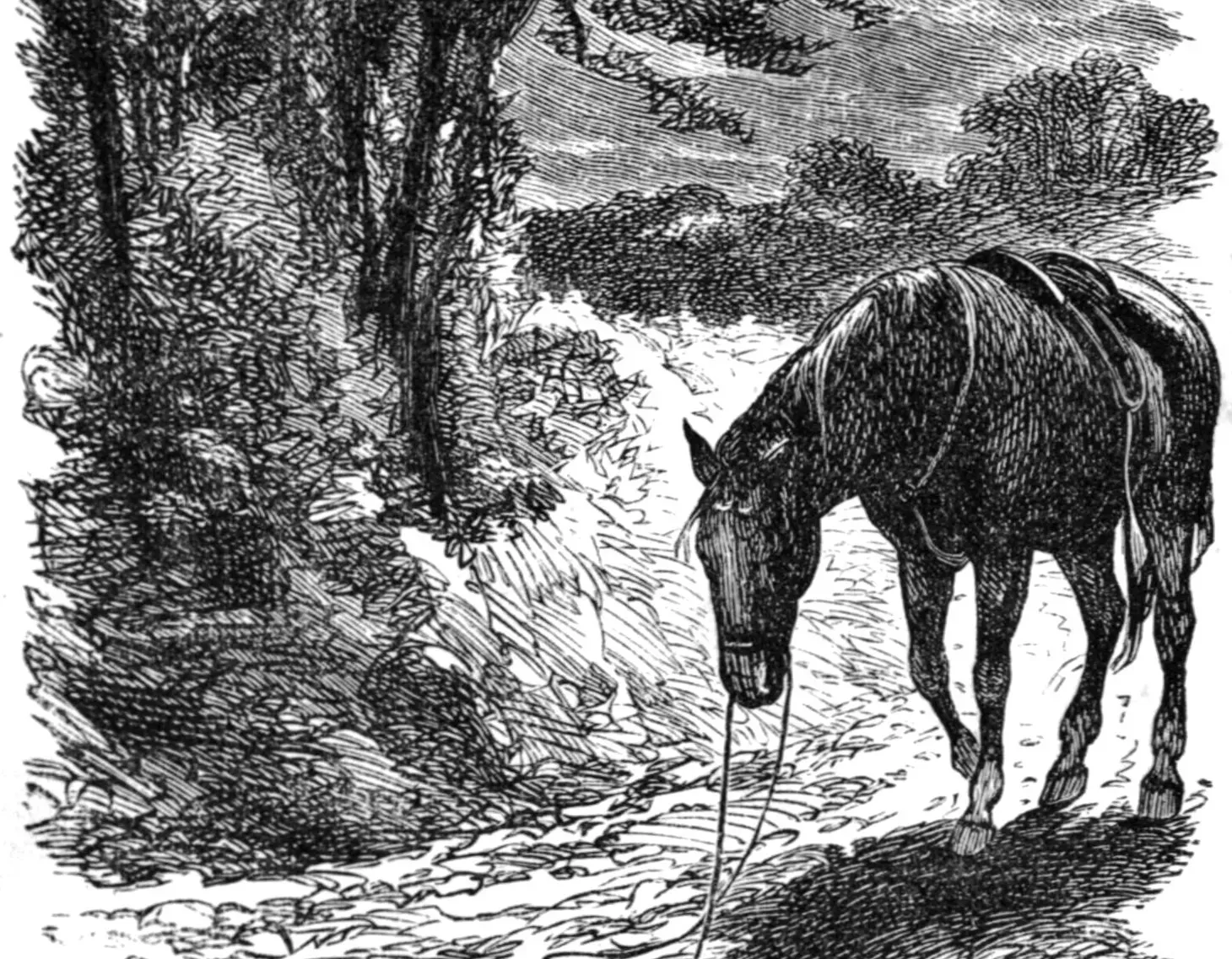 Anna Sewell and Black Beauty (Image Credits: Wikimedia)
