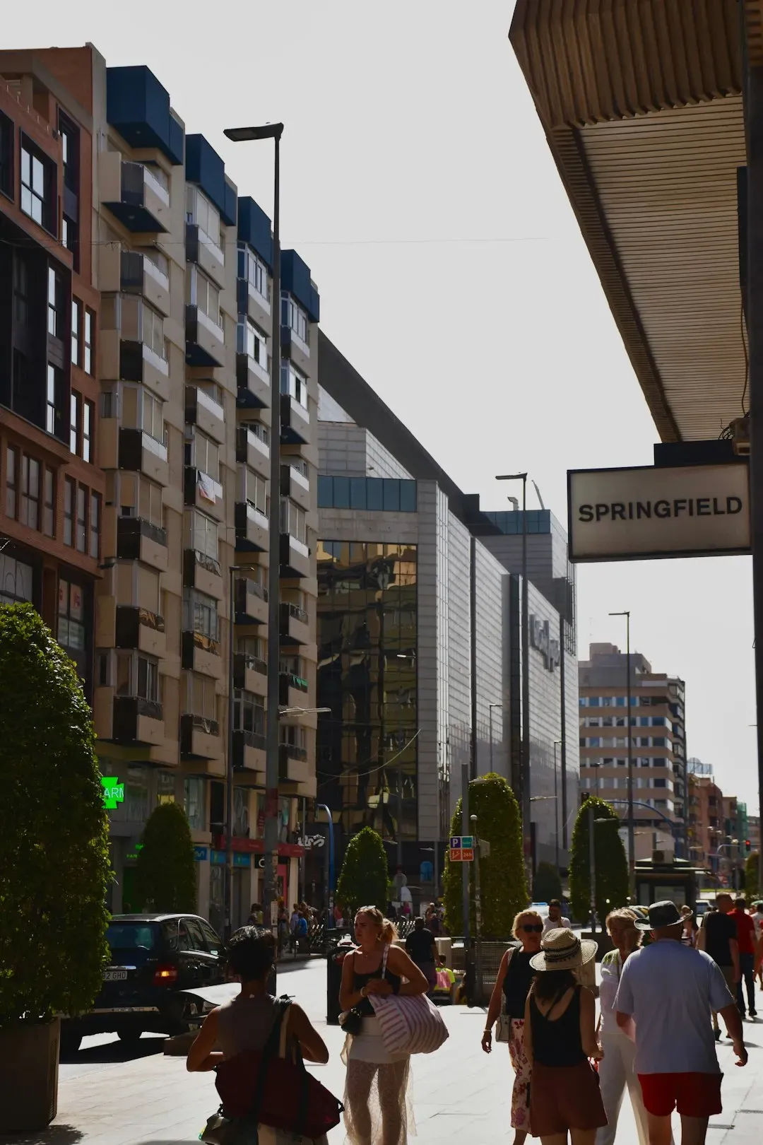 Springfield - The Simpsons (Image Credits: Unsplash)