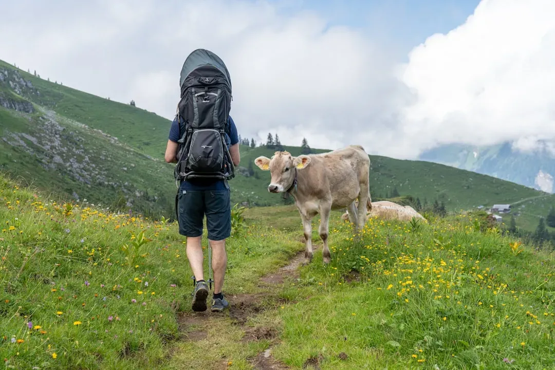 What to Pack and How to Stay Safe (Image Credits: Unsplash)