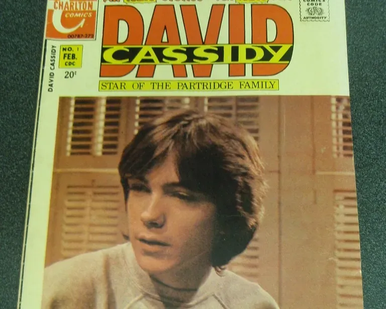 8. David Cassidy, "Doesn't Somebody Want to Be Wanted" (Image Credits: Flickr)