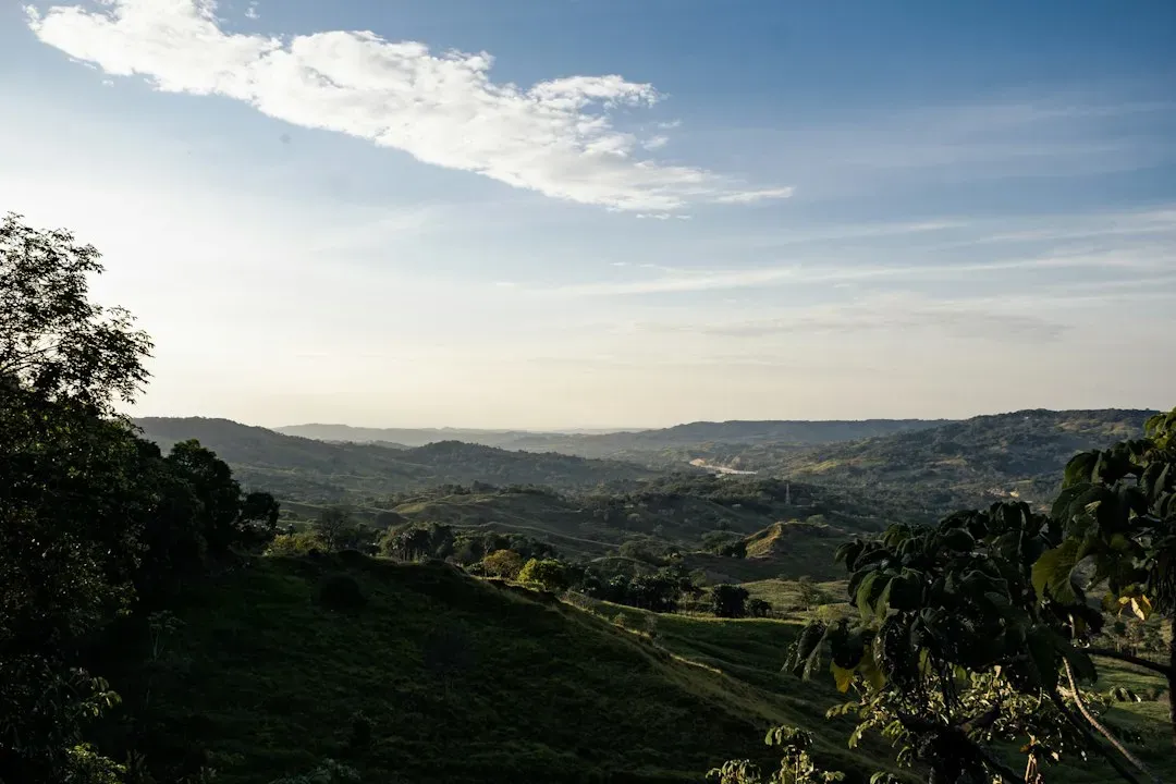 Protecting the Hillside (Image Credits: Unsplash)