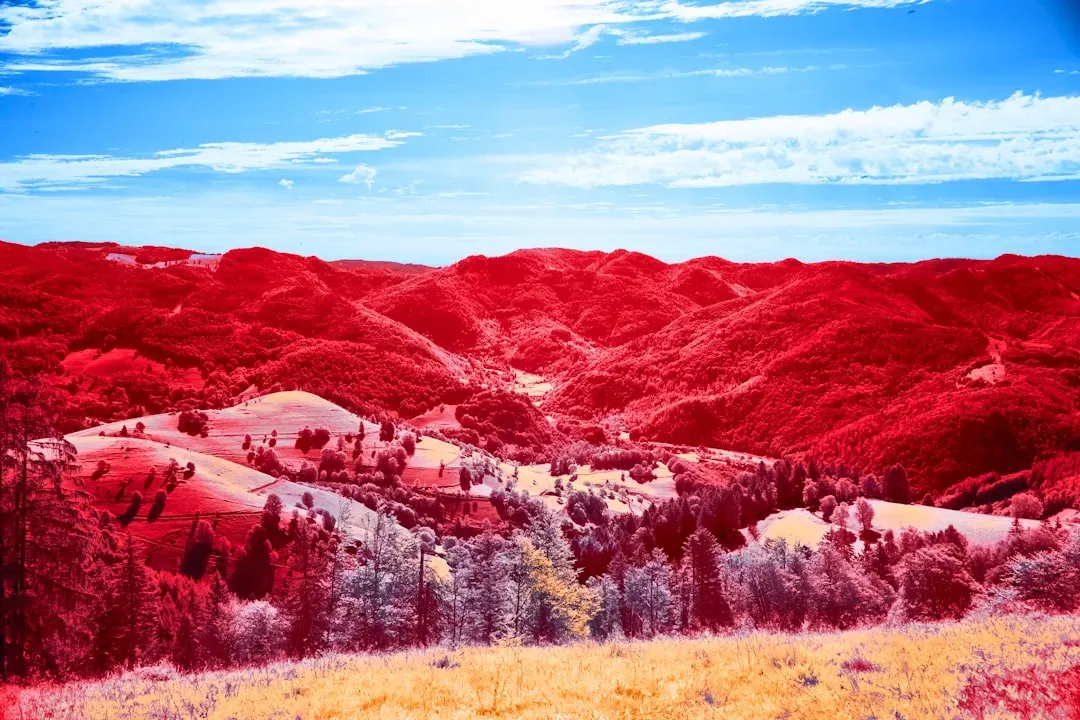 Valley Fever: The Hidden Fungal Risk in the Dust (Image Credits: Unsplash)