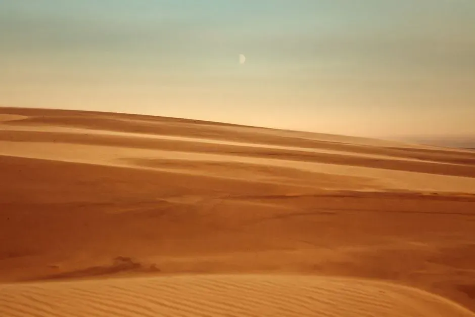 Dune by Frank Herbert (1965) (Image Credits: Pexels)