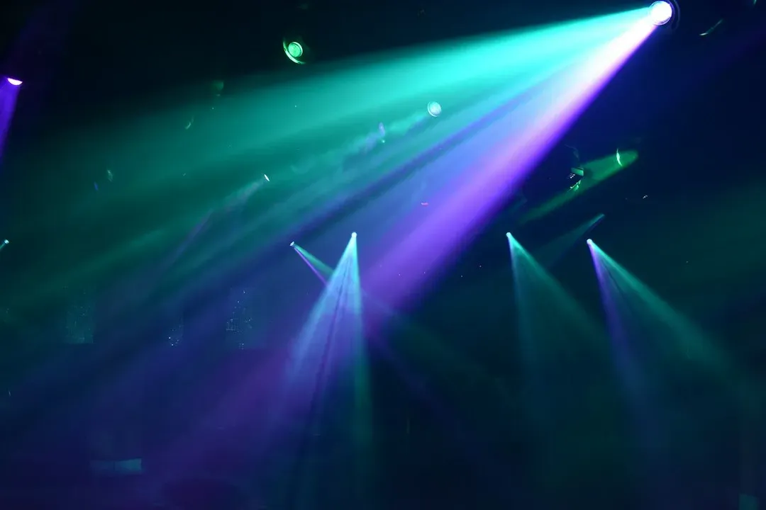 Le Freak by Chic (Image Credits: Unsplash)