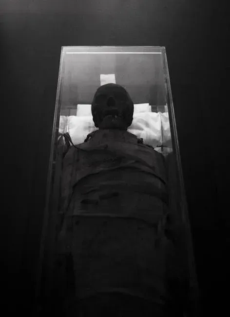 4. The Mummy (2017) (Image Credits: Pexels)
