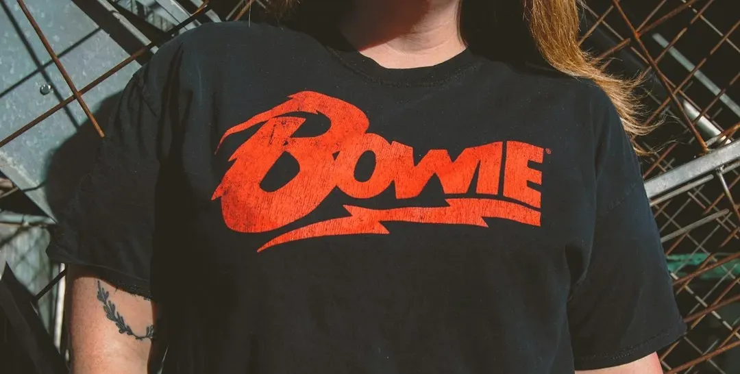 David Bowie, Hunky Dory (Image Credits: Unsplash)