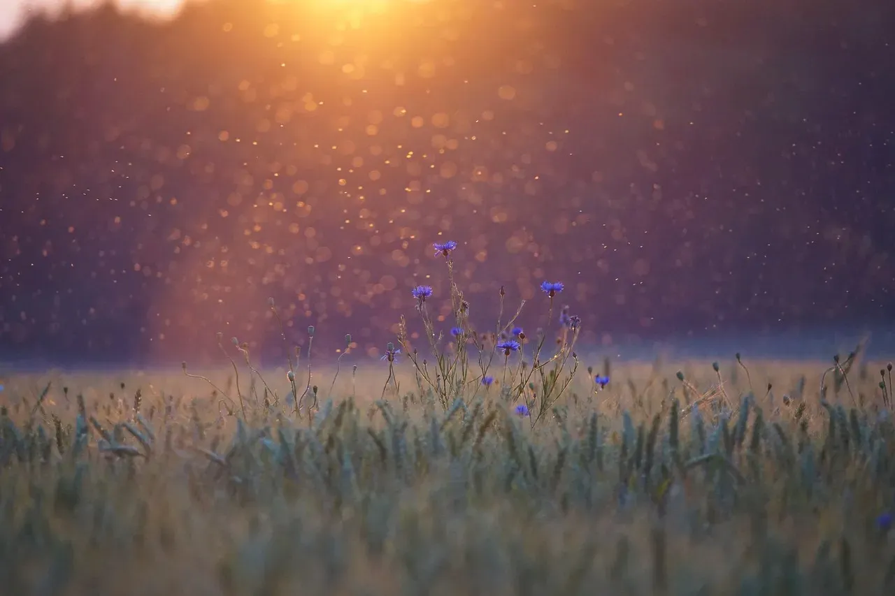 What the Swarm Looked Like from the Ground (Image Credits: Pixabay)