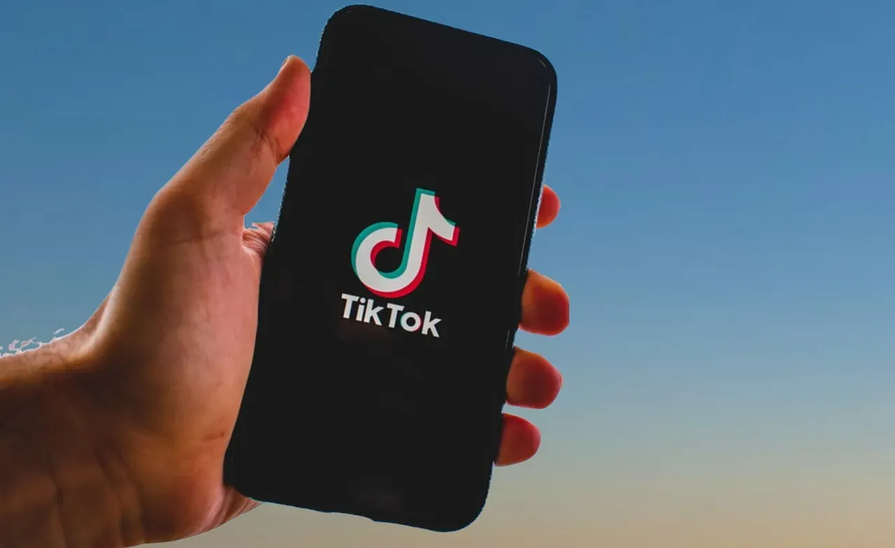 What TikTok Says It's Doing - And Why That's Not Enough (Image Credits: Pixabay)