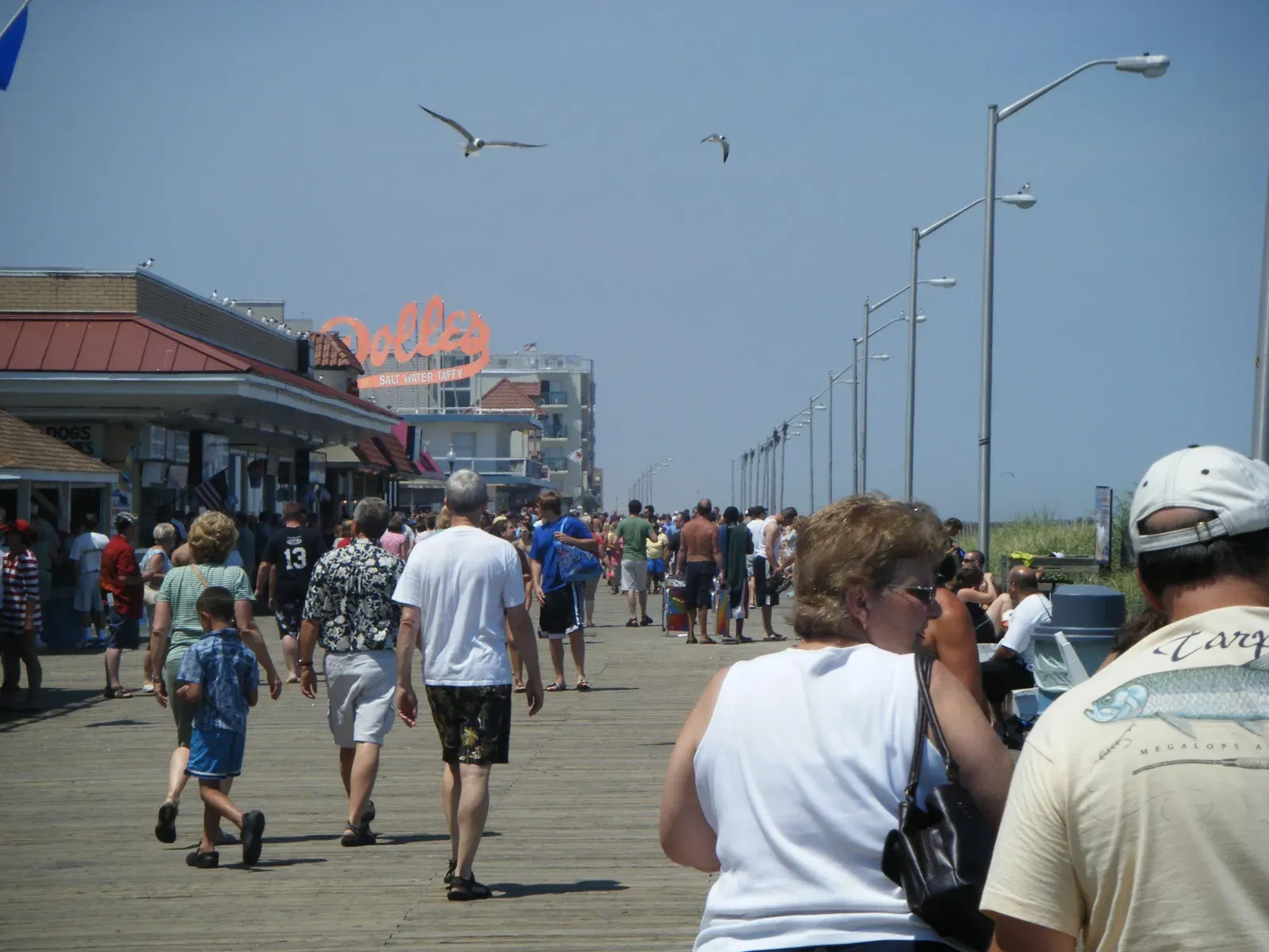 Rehoboth Beach, Delaware: The Clean Gem of the Mid-Atlantic (Image Credits: Wikimedia)