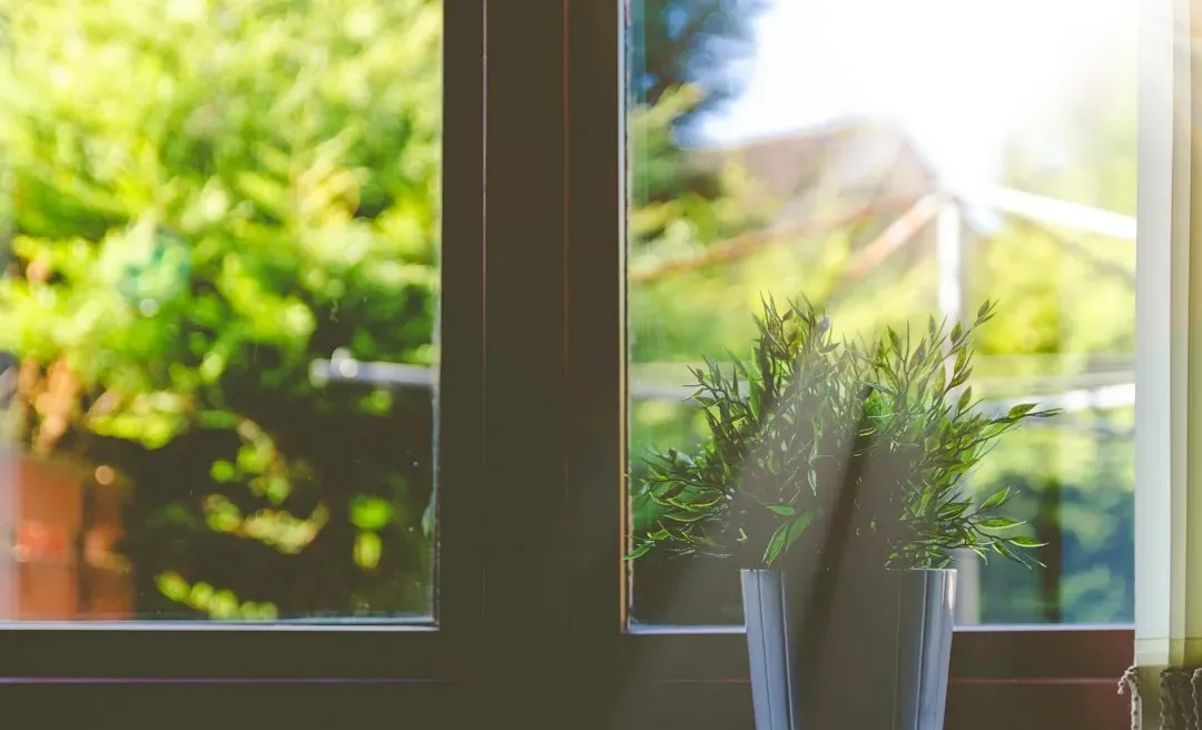 Daylight Scenes and Natural Light (Image Credits: Unsplash)