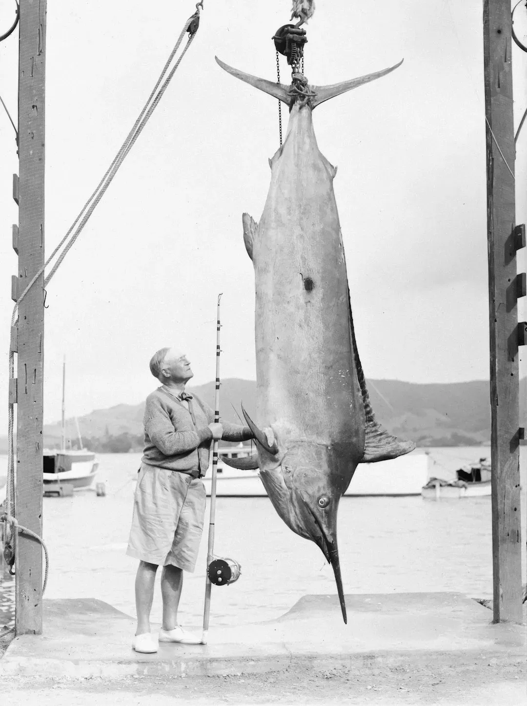 5. The Old Man and the Sea - Ernest Hemingway (~127 Pages) (Image Credits: Unsplash)