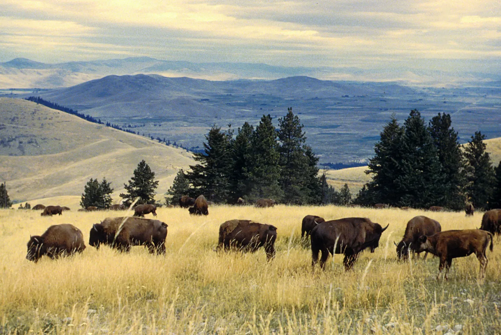 1. Ted Turner and his 2-million-acre ranch empire (By PD-USGov-Interior-FWS, Public domain)