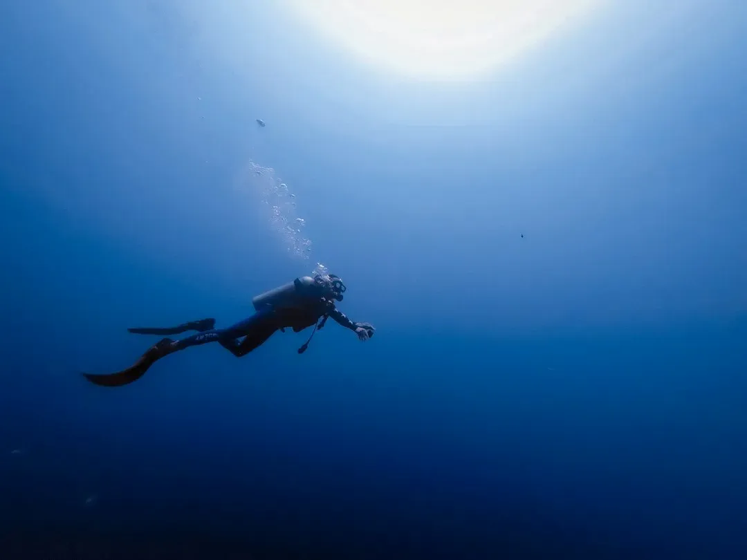 Jason Statham, Market Trader and Olympic Level Diver (Image Credits: Unsplash)