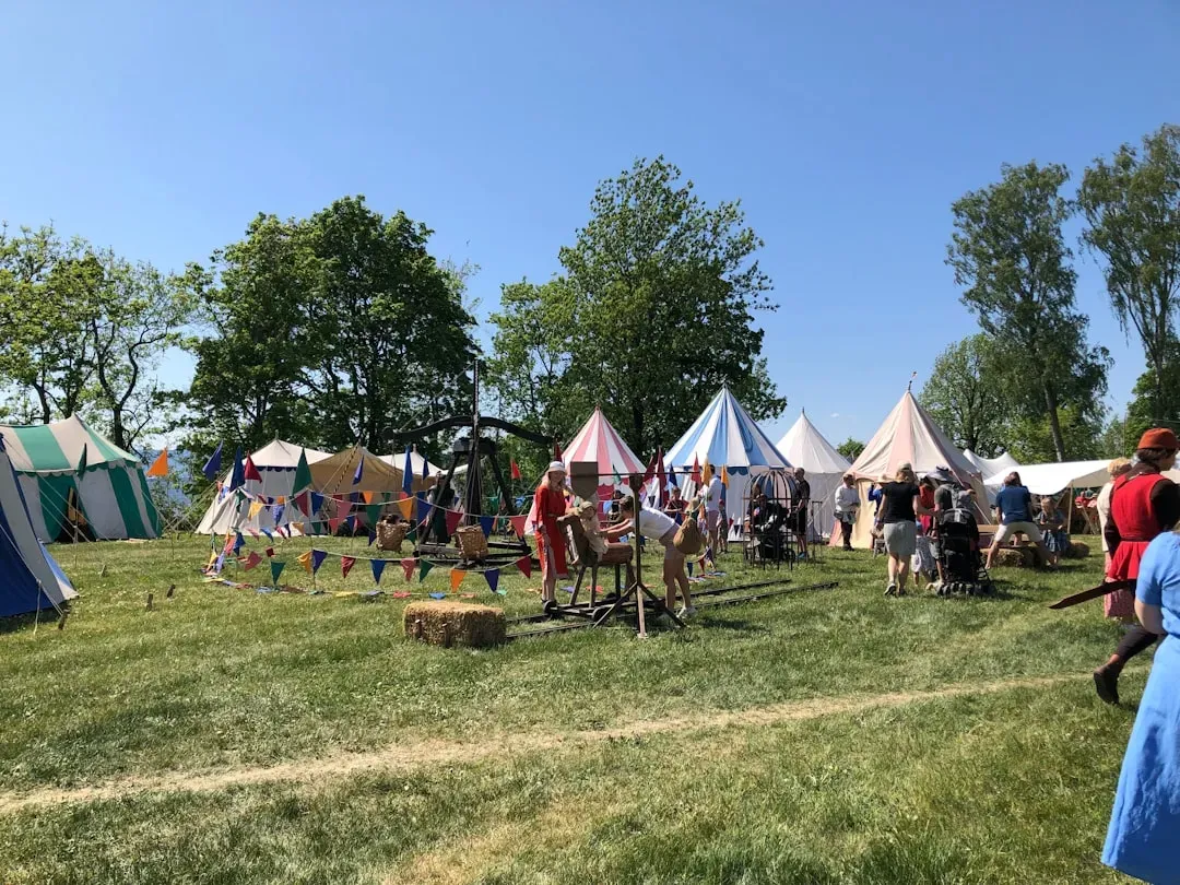 The Future of Festival Wellbeing (Image Credits: Unsplash)