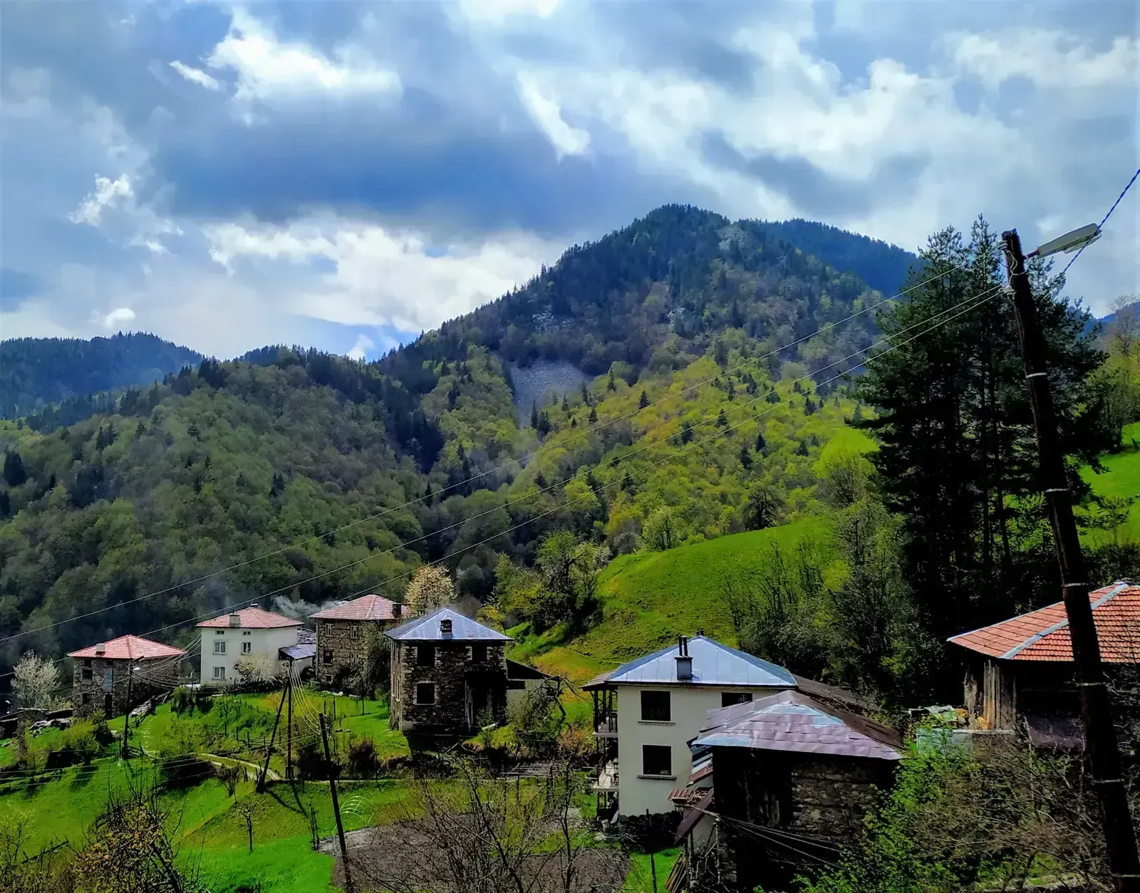 Cold Mountain Music Festival: North Carolina Lakeside Retreat (Image Credits: Wikimedia)