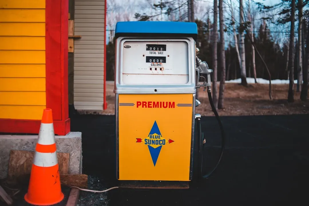 Organized Crime Rings Are Running This Operation (Image Credits: Unsplash)