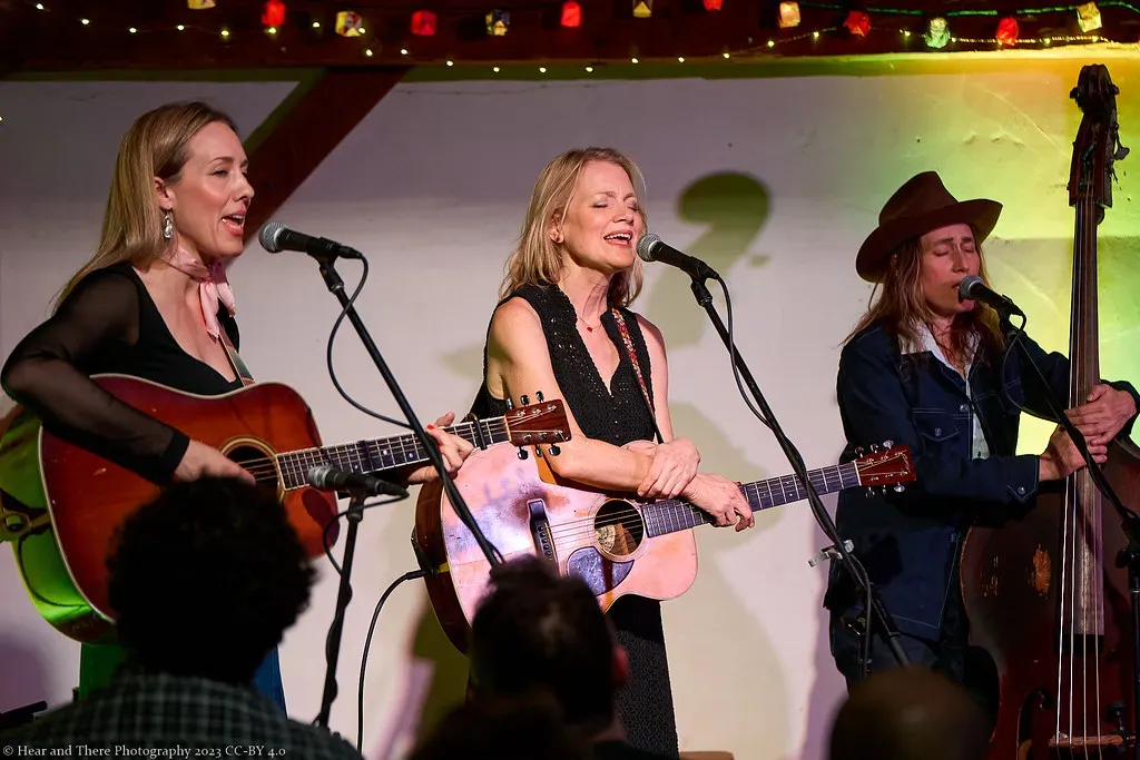 Richmond Folk Festival (Virginia): A Multi-Cultural Musical Tapestry (Image Credits: Flickr)