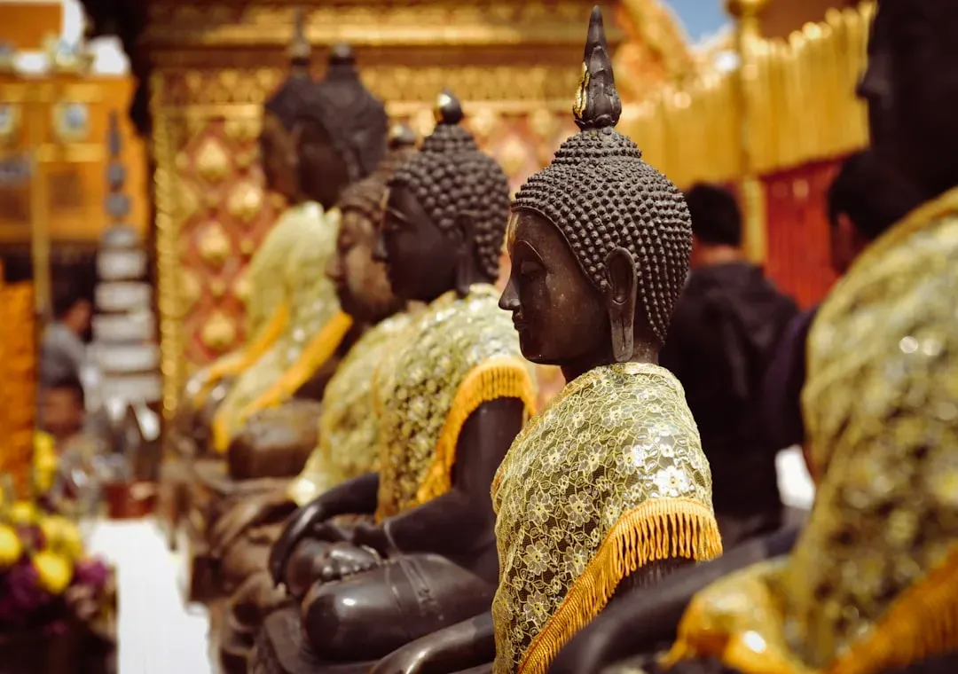 Ancient Buddhist Statues Spared by a Taliban Commander's Conscience (Image Credits: Unsplash)