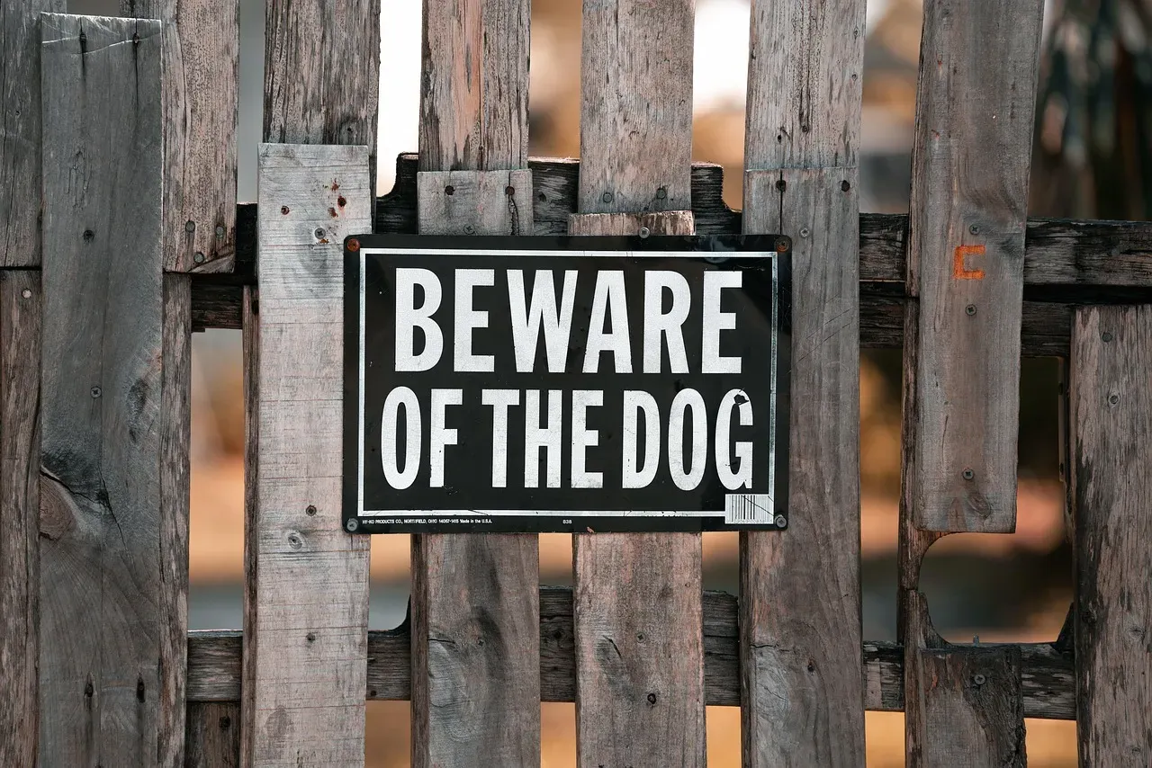 4. Fence and Property Line Disputes: The Fine Art of Drawing Lines (Image Credits: Pixabay)