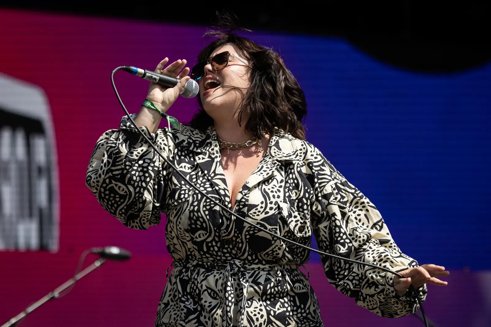 Austin City Limits Music Festival (Image Credits: Wikimedia)