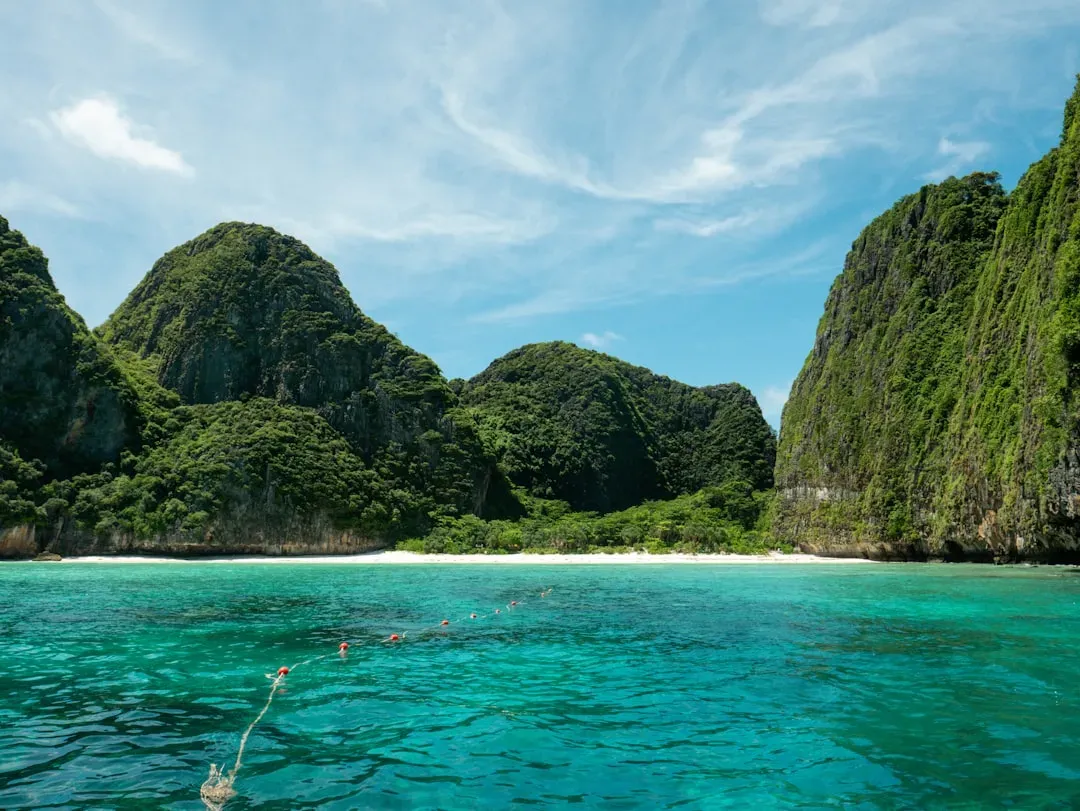 The nature of the island in "Life of Pi" by Yann Martel (Image Credits: Unsplash)