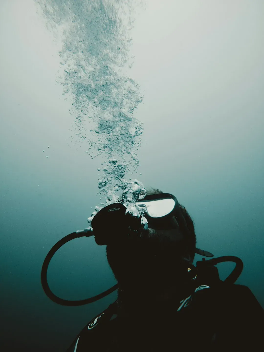 7. In Vermont, Whistling Underwater Is Technically Prohibited (Image Credits: Unsplash)