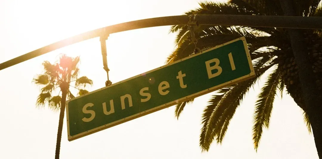 Sunset Boulevard's morgue scene that made preview crowds laugh (Image Credits: Unsplash)