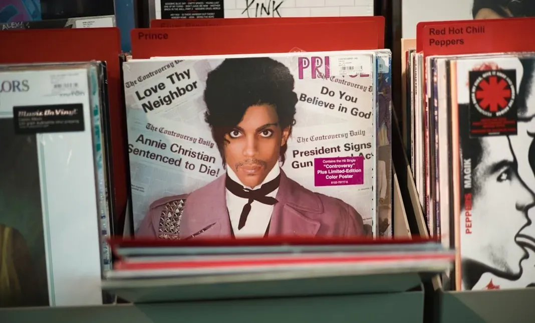 Prince - The Black Album (Original 1987 Pressing) (Image Credits: Unsplash)