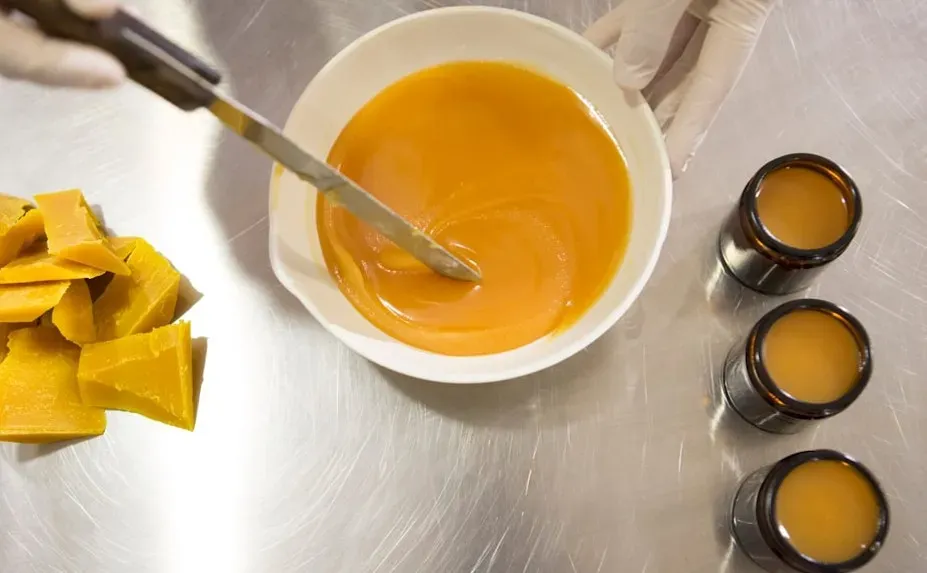 Ancient Egyptian Hair Gel: Beeswax, Plant Oils, and Serious Styling Ambition (Image Credits: Unsplash)