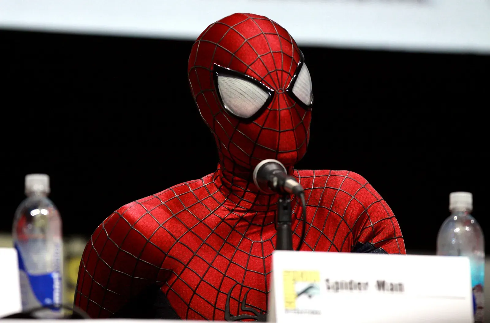 2. The Amazing Spider-Man (Image Credits: Wikimedia)