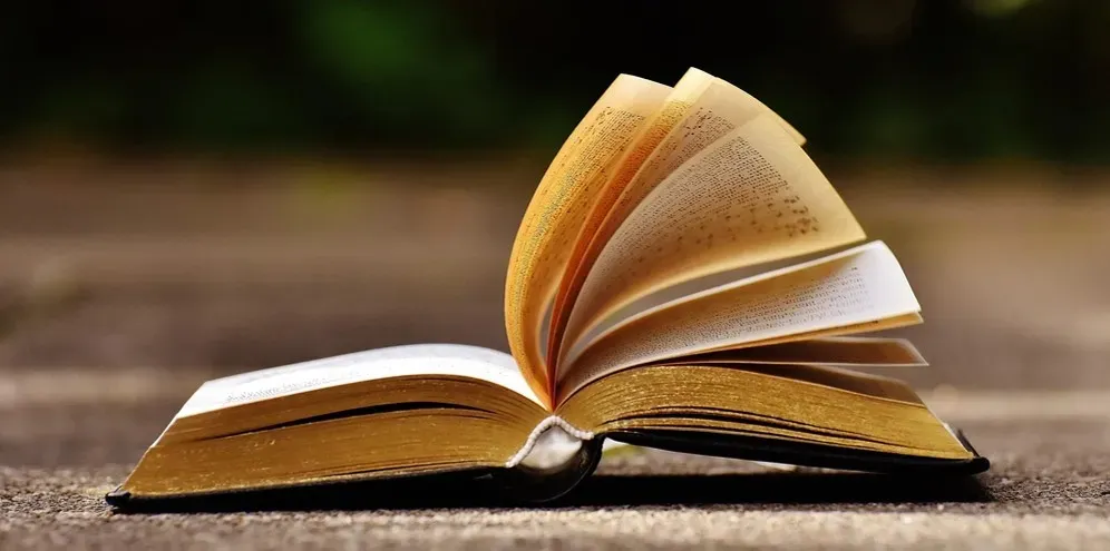6. Invisible Man by Ralph Ellison (Image Credits: Rawpixel)