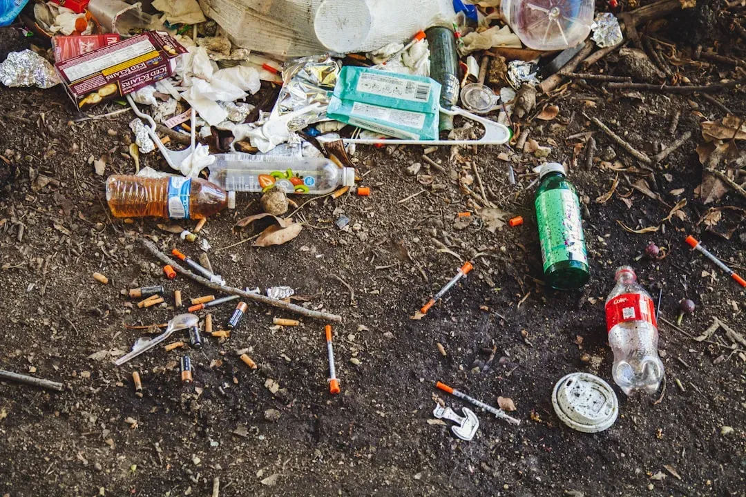 The Addiction Problem That Fuels Homelessness (Image Credits: Unsplash)