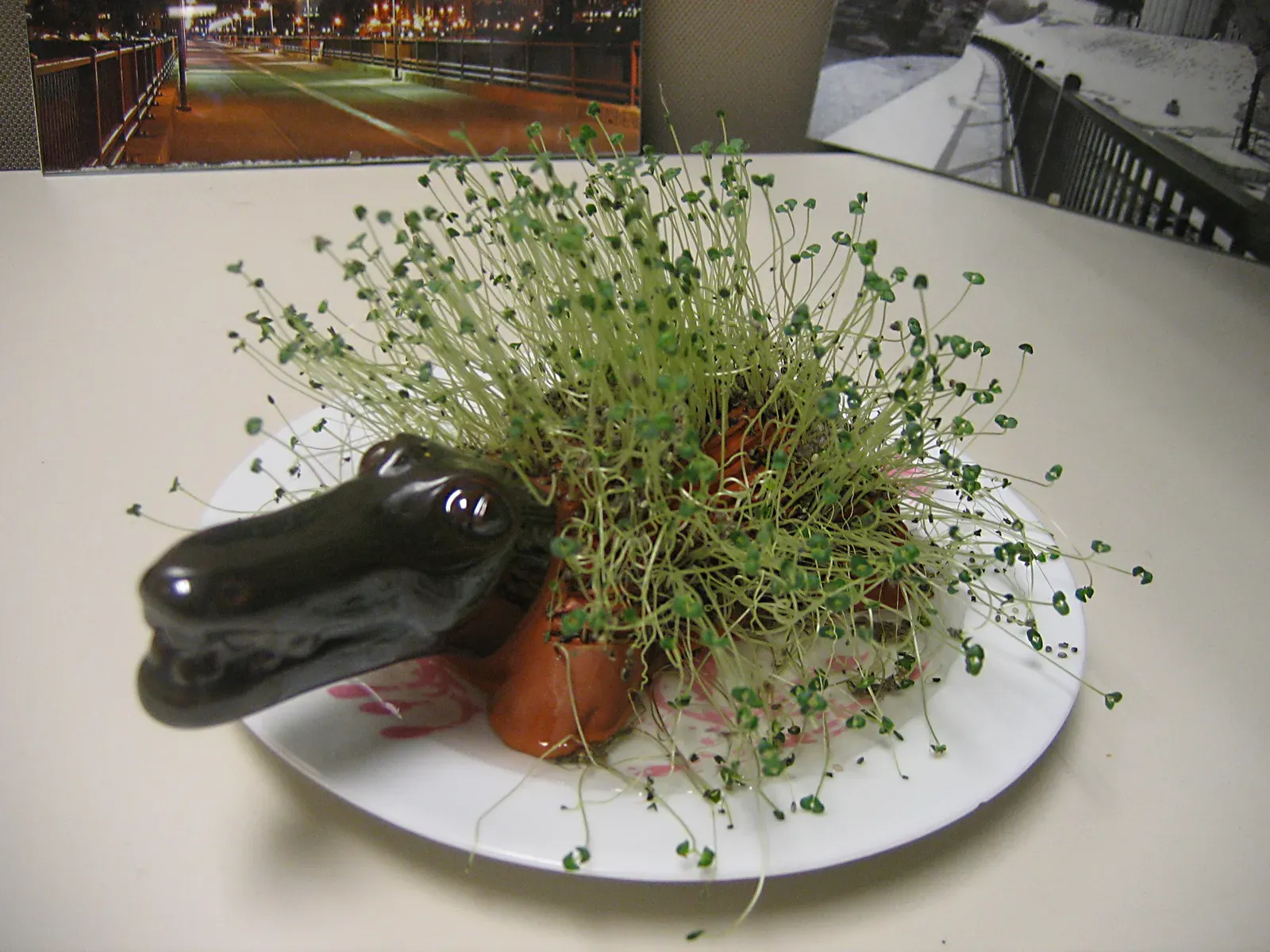 9. Chia Pet (By Jeremy Noble, CC BY 2.0)