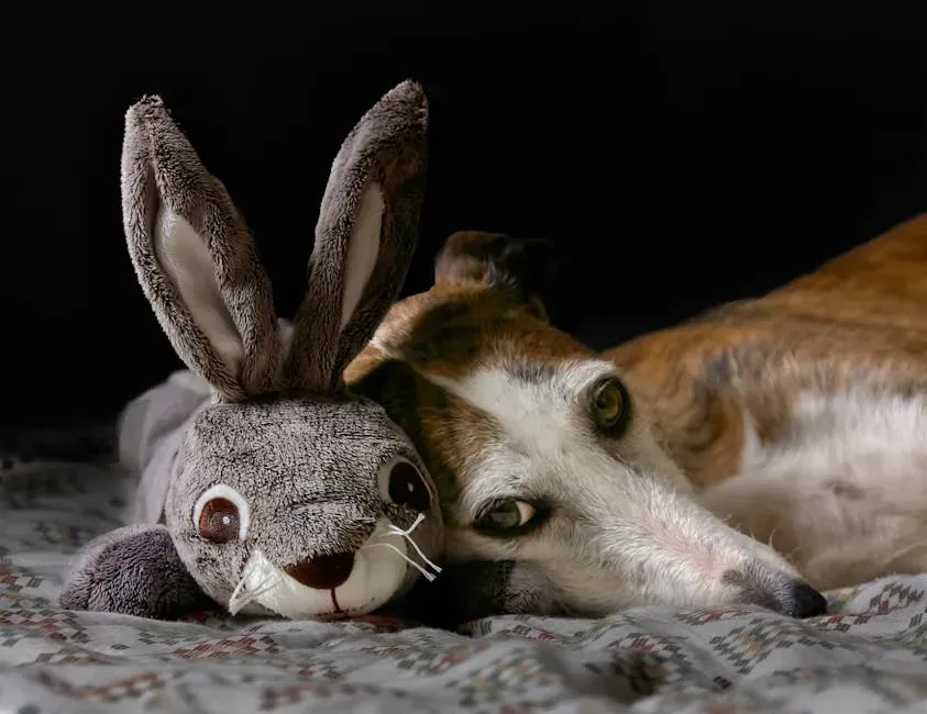 6. Brandy and Mr. Whiskers (2004–2006) (Image Credits: Pexels)