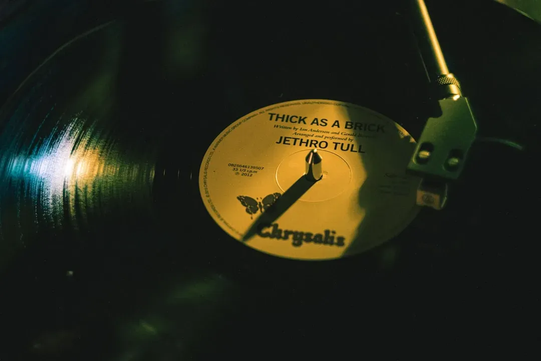 17. Vinyl Sales Data Proves This Is Not Just Sentiment (Image Credits: Unsplash)