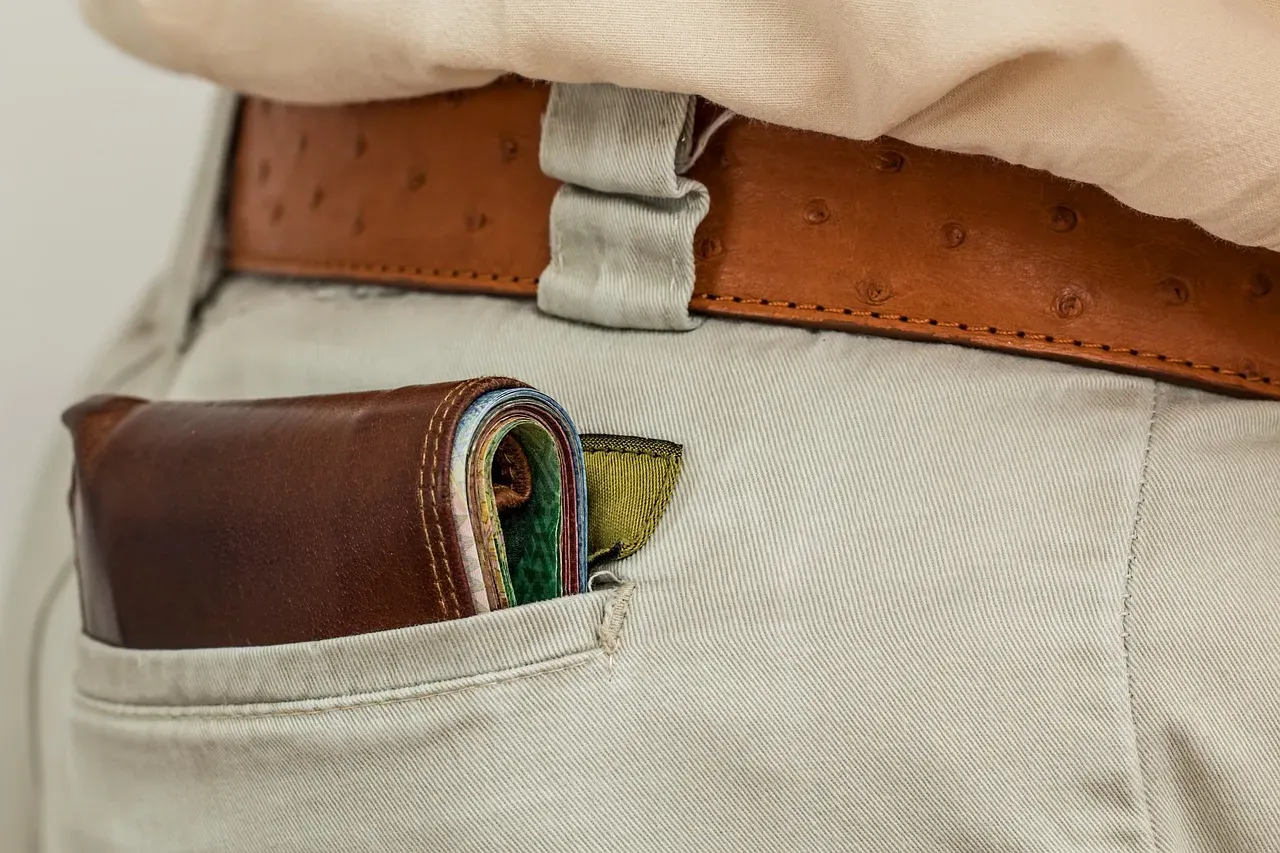 8. Guard Your Valuables - Pickpockets Are Professionals (Image Credits: Pixabay)