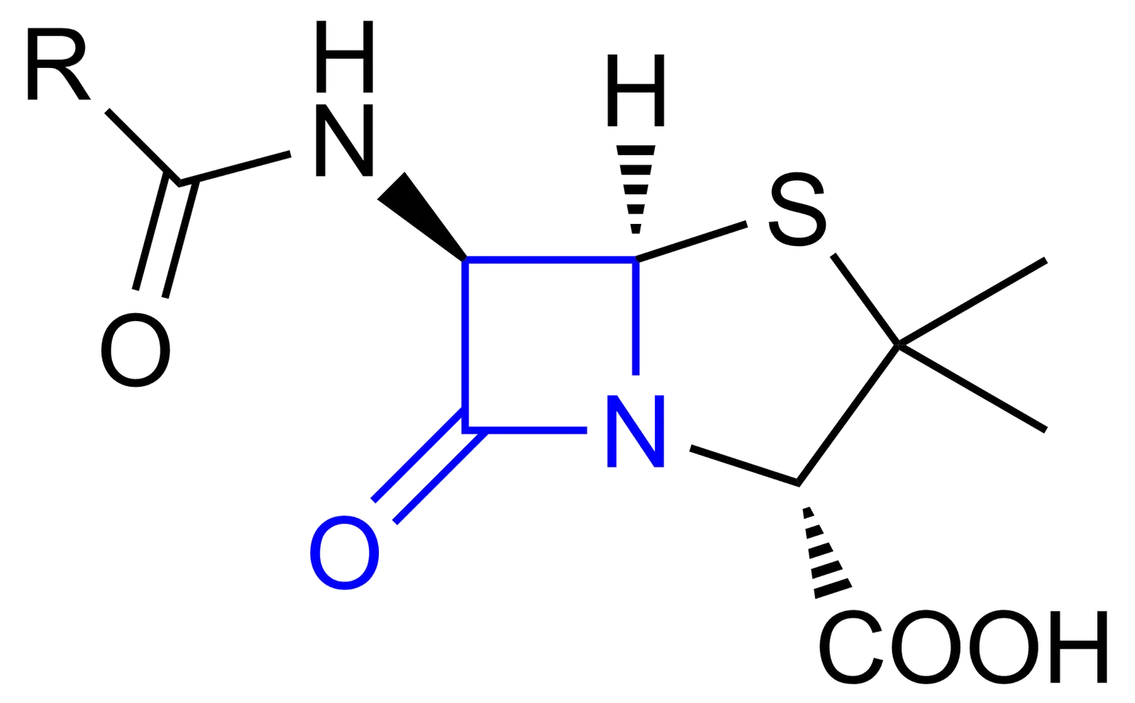 Penicillin Discovered Through a Messy Lab (Image Credits: Wikimedia)