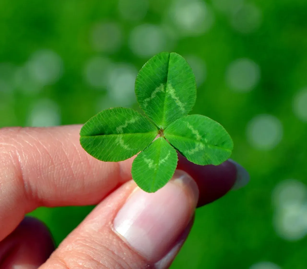 The Neuroscience Behind Lucky Charms (Image Credits: Pixabay)