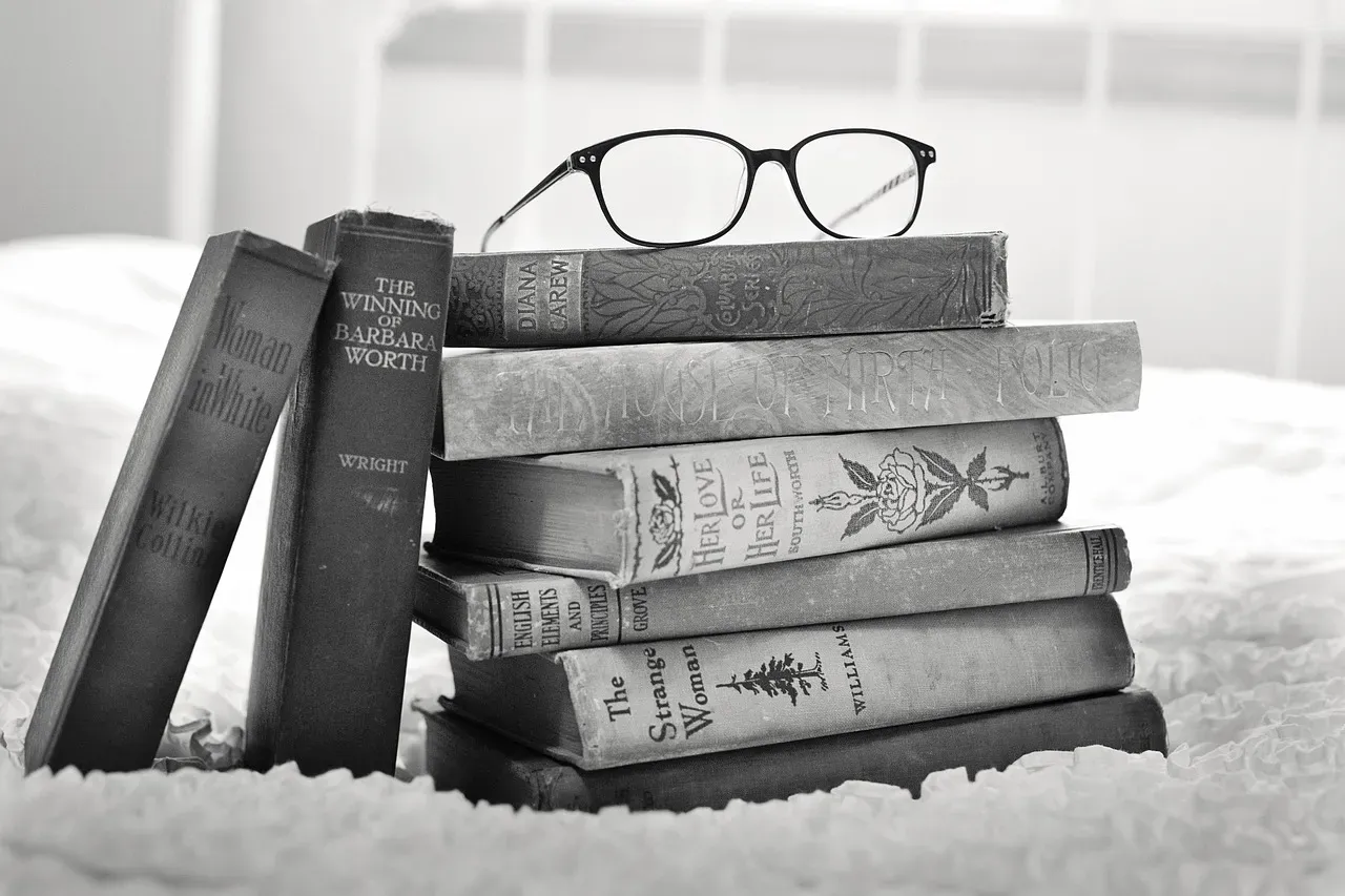 The Bigger Picture - Why Good Books Get Left Behind (Image Credits: Pixabay)