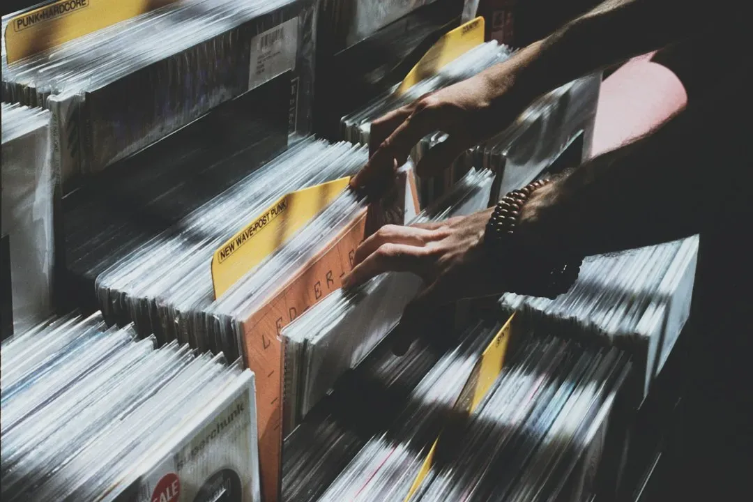 Shelves and Towers for Storing Discs (Image Credits: Unsplash)