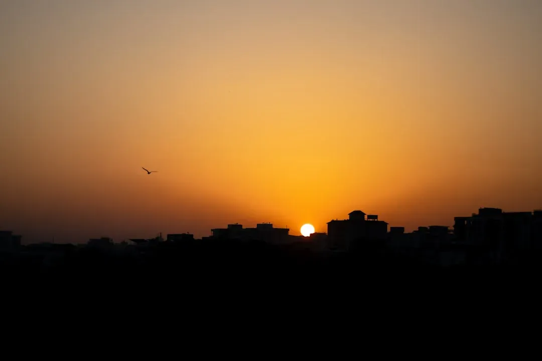 The Animals – "House of the Rising Sun" (1964) (Image Credits: Unsplash)